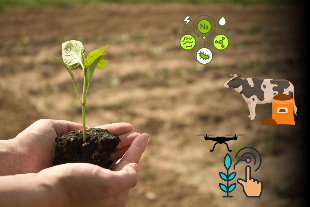 Nitrogen Use Efficiency in Cropping Systems: A Comprehensive Overview